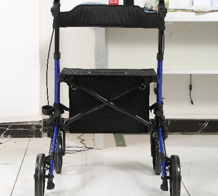 Walker with Wheels