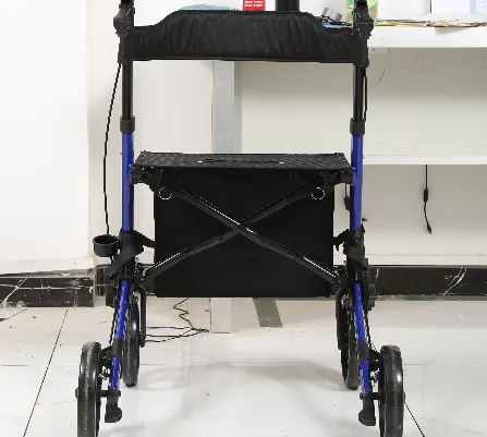 Walker with Wheels